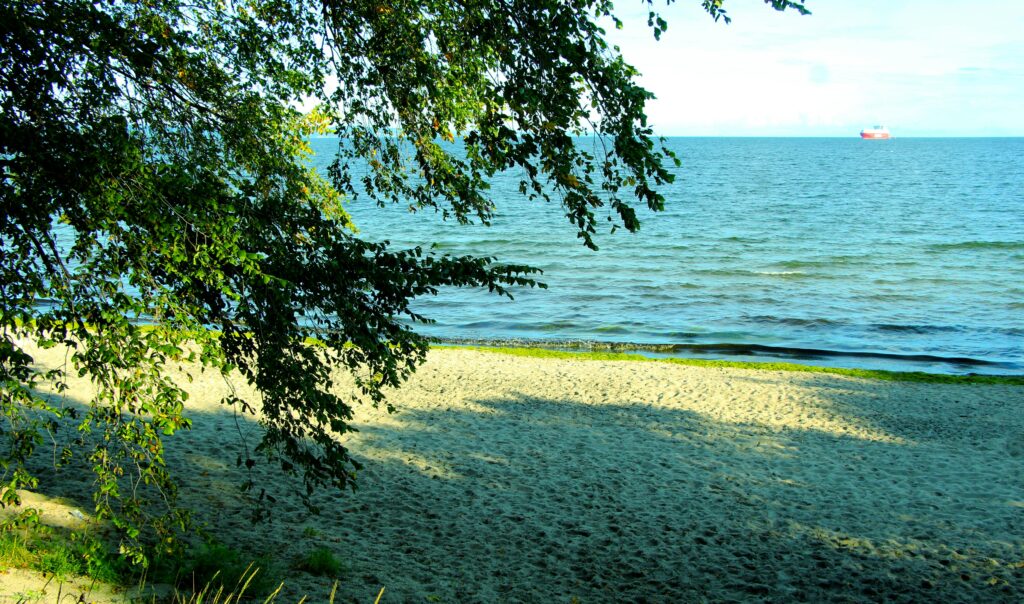 test4