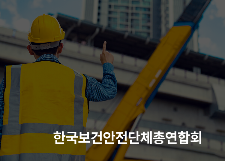 한국보건안전단체총연합회