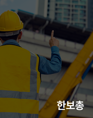 한국보건안전단체총연합회